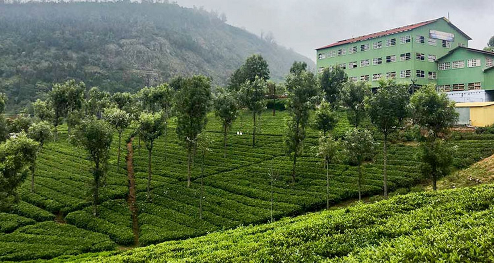 15 Places to visit in Ooty for Travelling Architect - Sheet22
