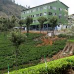 15 Places to visit in Ooty for Travelling Architect - Sheet24