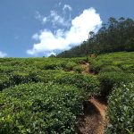 15 Places to visit in Ooty for Travelling Architect - Sheet3