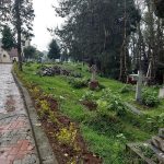 15 Places to visit in Ooty for Travelling Architect - Sheet34