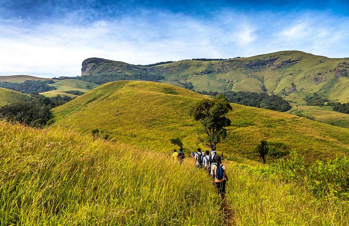 15 Places to visit in Ooty for Travelling Architect - Sheet36