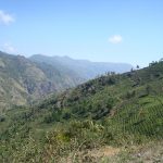15 Places to visit in Ooty for Travelling Architect - Sheet47