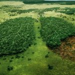 An look into the future of Environmental Issues - Sheet1