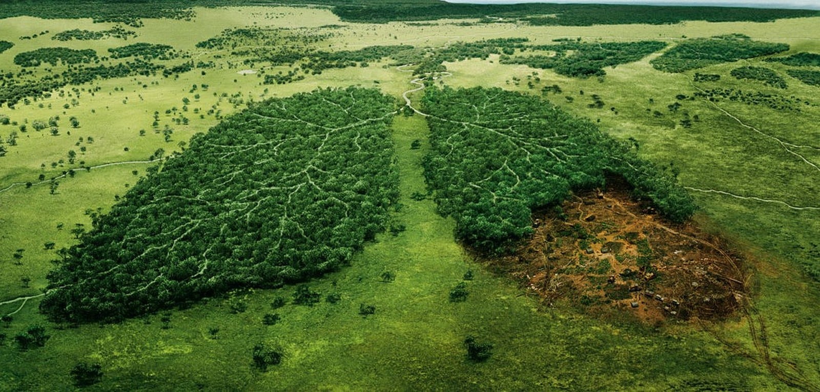 An look into the future of Environmental Issues - Sheet1