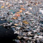 An look into the future of Environmental Issues - Sheet3