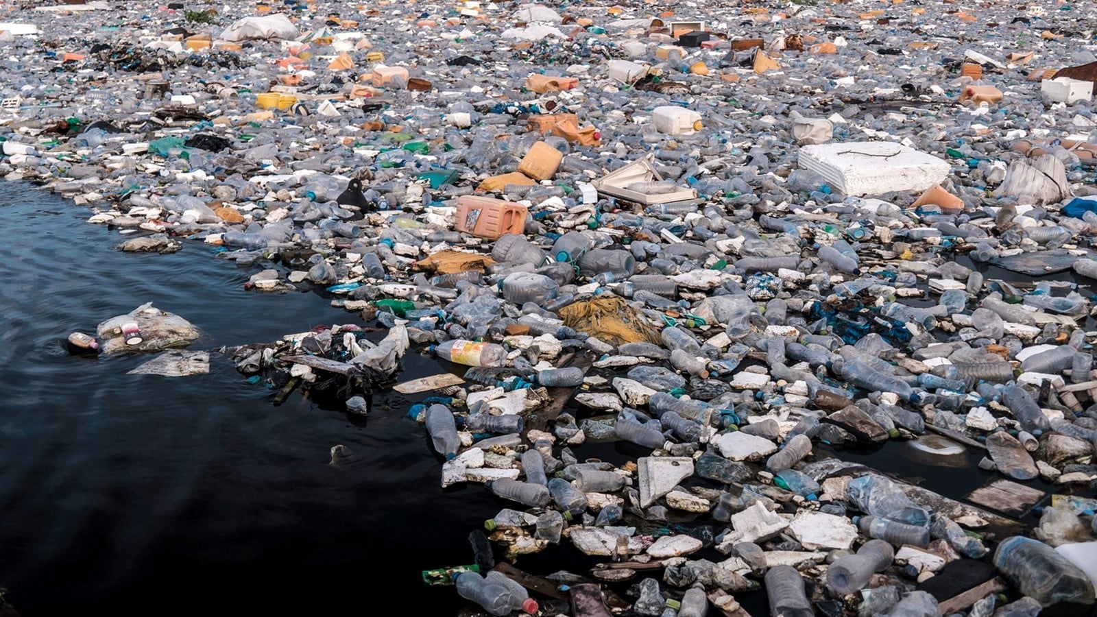 An look into the future of Environmental Issues - Sheet3
