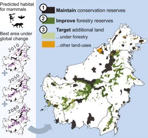 Sustainable Land use Strategies in Urban Planning - RTF | Rethinking ...
