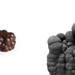 Culinary Constructions: An intersection between Dessert and Design - Sheet13