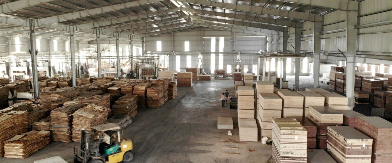 Commercial Plywood to use in India - Sheet4
