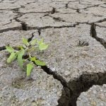 An overview of Anthropocene in Architecture - Sheet2