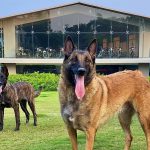 M.S. Dhoni House: 10 Facts through Architect's Lens - Sheet3