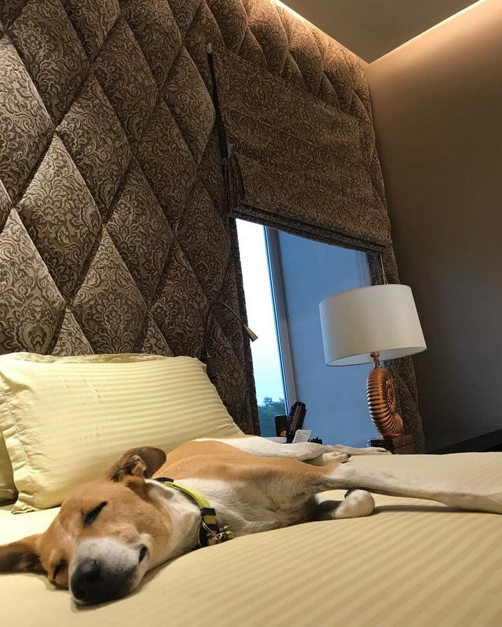 Bedroom_©Instagram