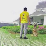 M.S. Dhoni House: 10 Facts through Architect's Lens - Sheet8