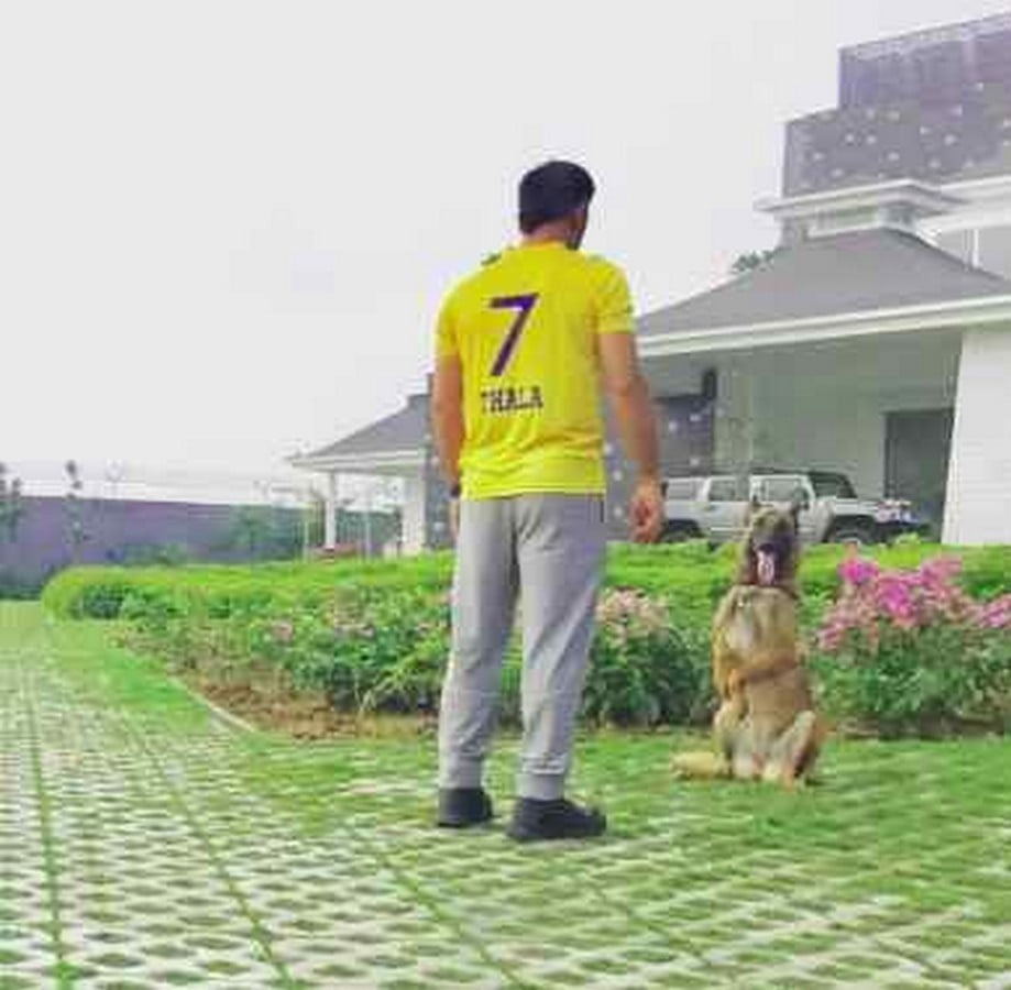 Dhoni training his dog_©Instagram