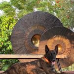 M.S. Dhoni House: 10 Facts through Architect's Lens - Sheet9