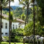 An inside look at all the houses owned by Lenny Kravitz - Sheet2
