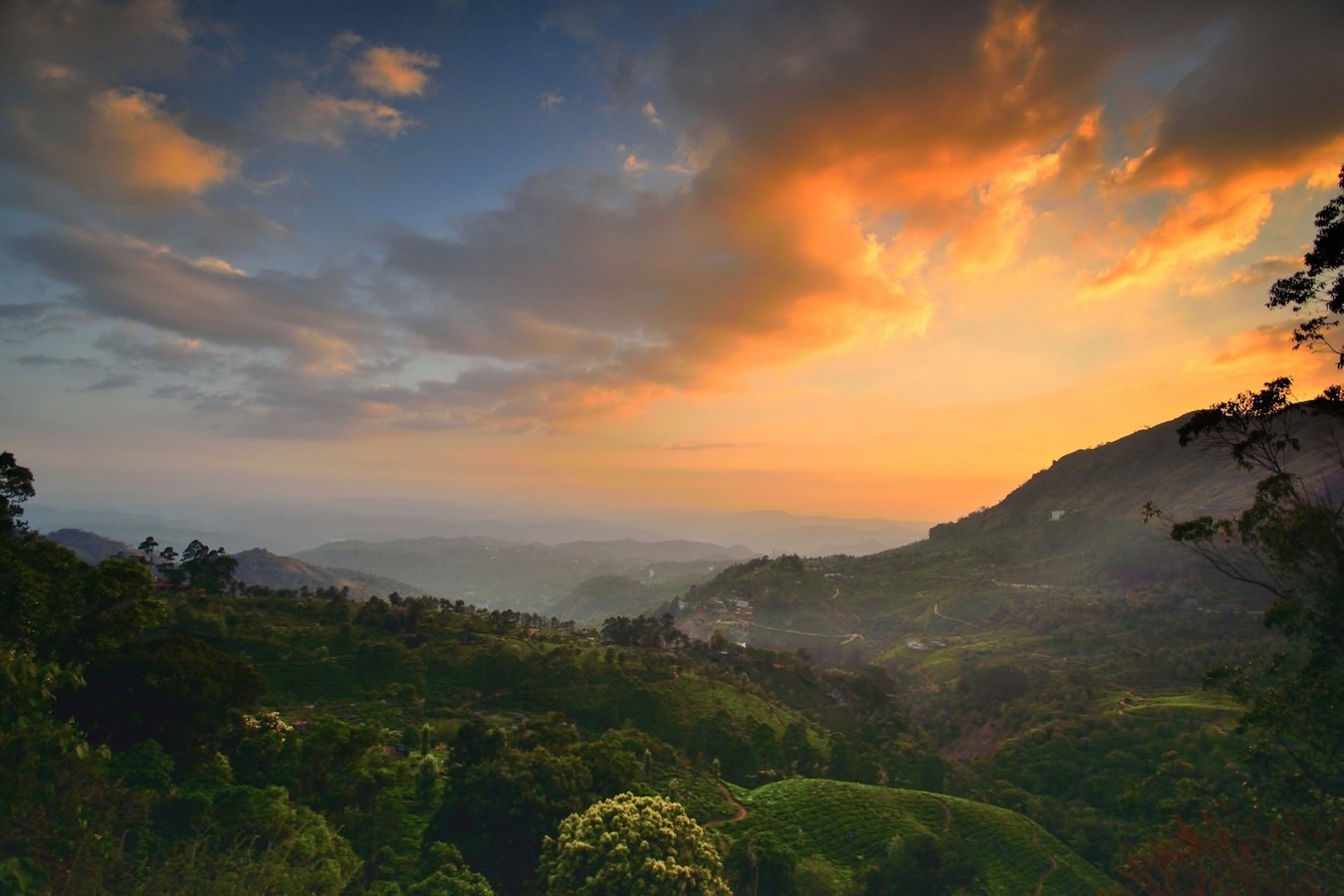 15 Places to visit in Munnar for Travelling Architect - Sheet11