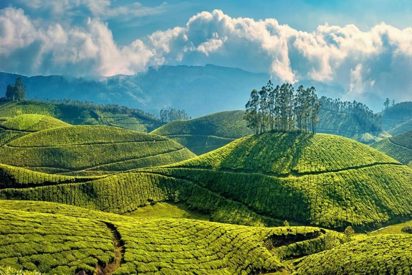 15 Places to visit in Munnar for Travelling Architect - Sheet12