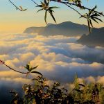 15 Places to visit in Munnar for Travelling Architect - Sheet16
