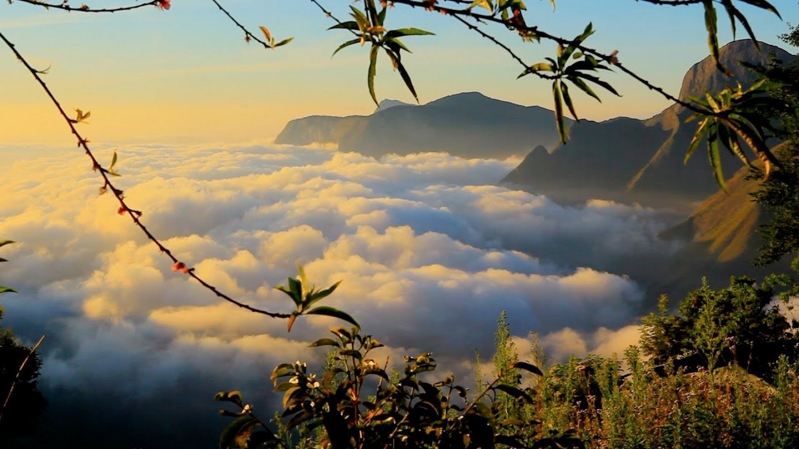 15 Places to visit in Munnar for Travelling Architect - Sheet16