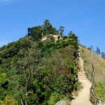15 Places to visit in Munnar for Travelling Architect - Sheet17