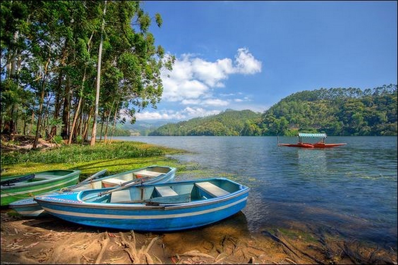 15 Places to visit in Munnar for Travelling Architect - Sheet19