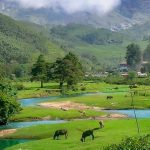 15 Places to visit in Munnar for Travelling Architect - Sheet27