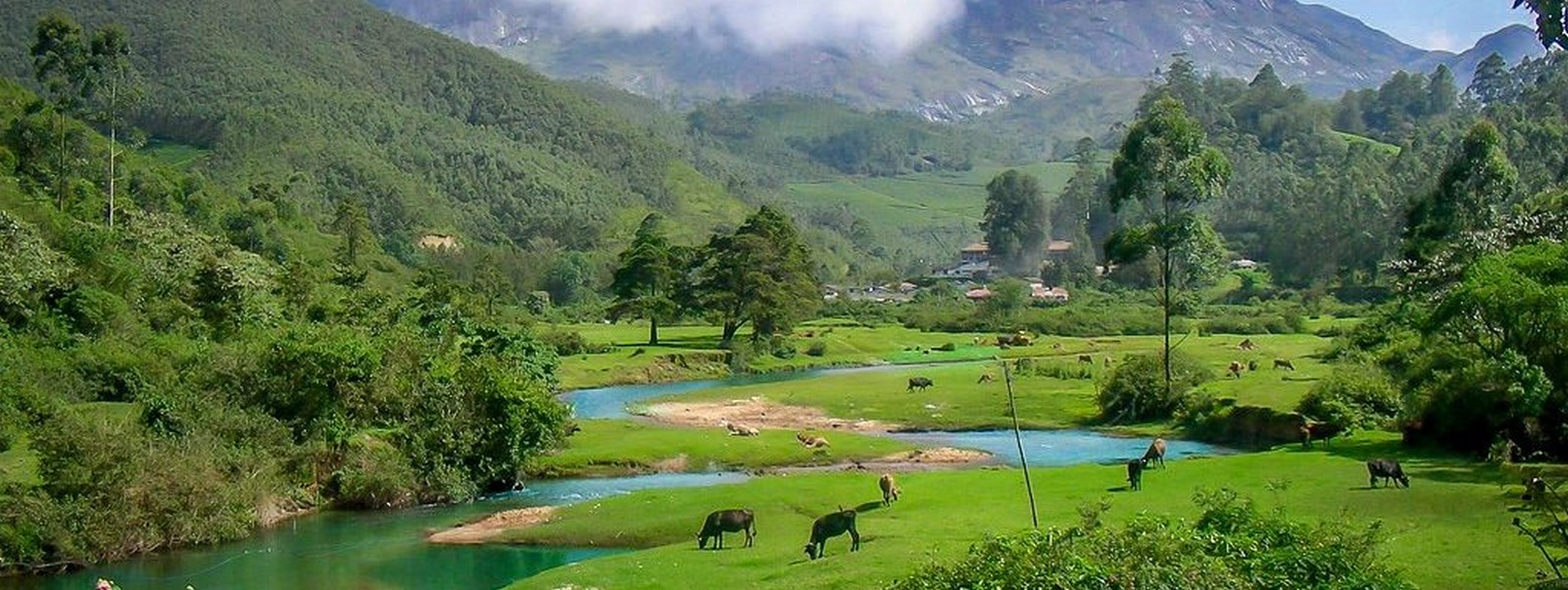 15 Places to visit in Munnar for Travelling Architect - Sheet27