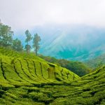 15 Places to visit in Munnar for Travelling Architect - Sheet3