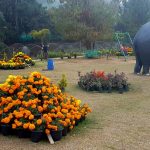 15 Places to visit in Munnar for Travelling Architect - Sheet31