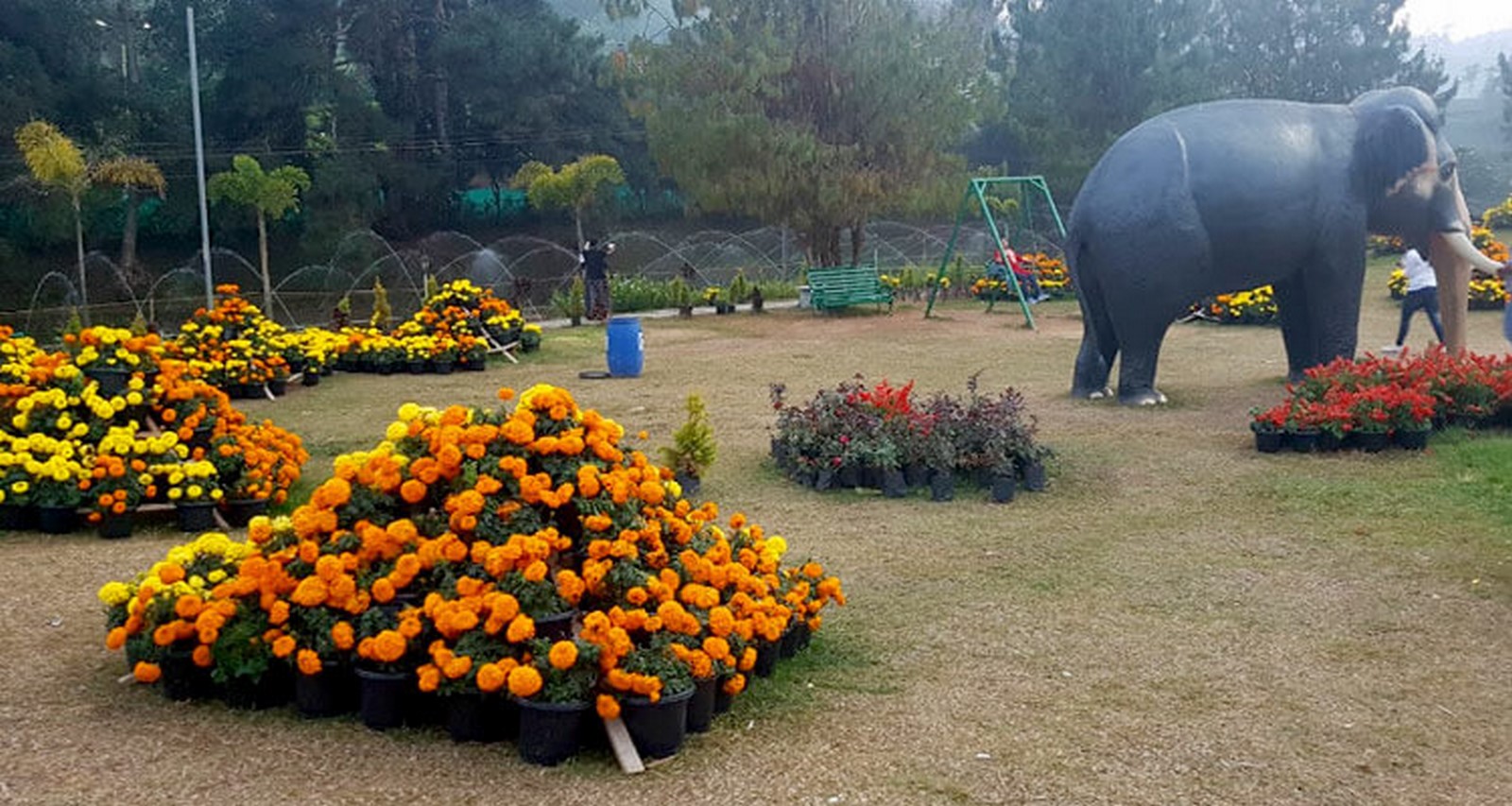 15 Places to visit in Munnar for Travelling Architect - Sheet31