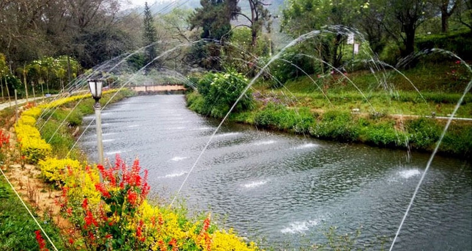 15 Places to visit in Munnar for Travelling Architect - Sheet32