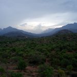 15 Places to visit in Munnar for Travelling Architect - Sheet37