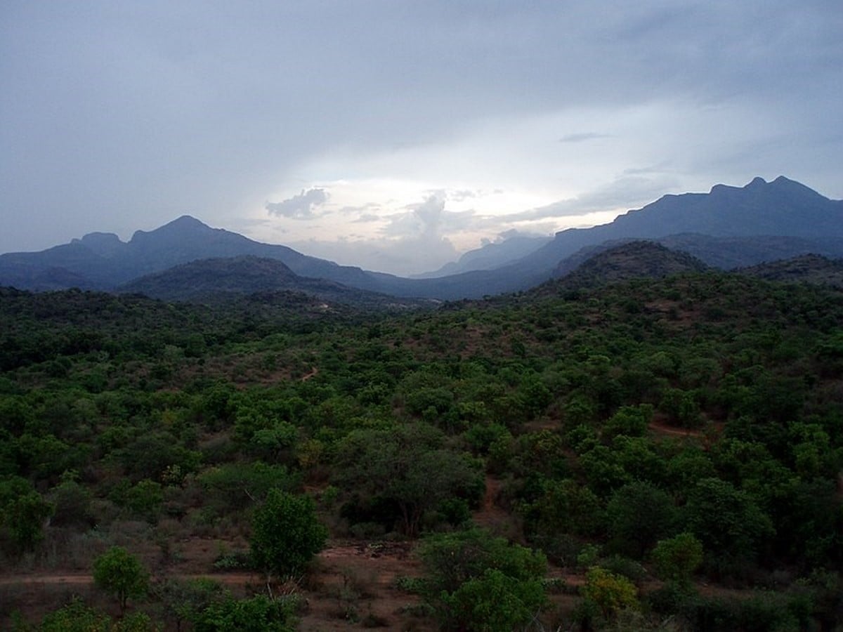 The Chinnar Wildlife Sanctuary_©Marcus334