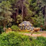 15 Places to visit in Munnar for Travelling Architect - Sheet38