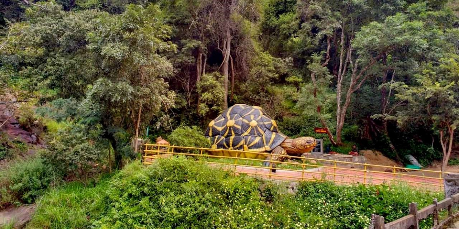 The tortoises’ rehabilitation at Chinnar Wildlife Sanctuary_©Munnartourism