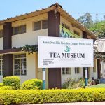 15 Places to visit in Munnar for Travelling Architect - Sheet4