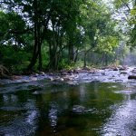 15 Places to visit in Munnar for Travelling Architect - Sheet40