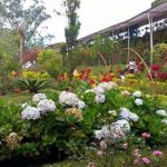 15 Places to visit in Munnar for Travelling Architect - Sheet41
