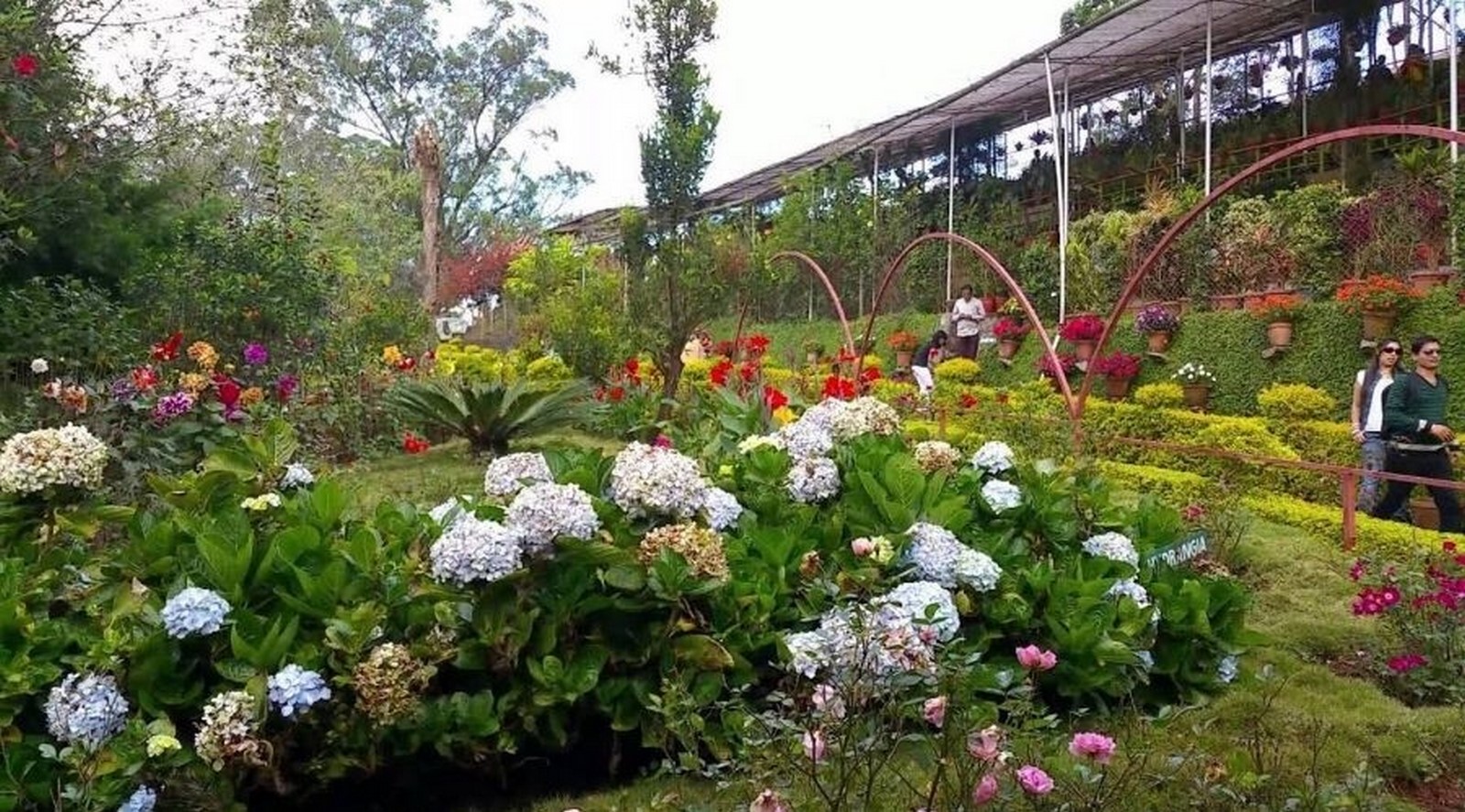 The Floriculture centre, Munnar_©Munnarinfo