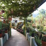 15 Places to visit in Munnar for Travelling Architect - Sheet42