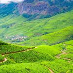 15 Places to visit in Munnar for Travelling Architect - Sheet44