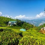 15 Places to visit in Munnar for Travelling Architect - Sheet46