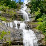 15 Places to visit in Munnar for Travelling Architect - Sheet7