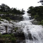 15 Places to visit in Munnar for Travelling Architect - Sheet8