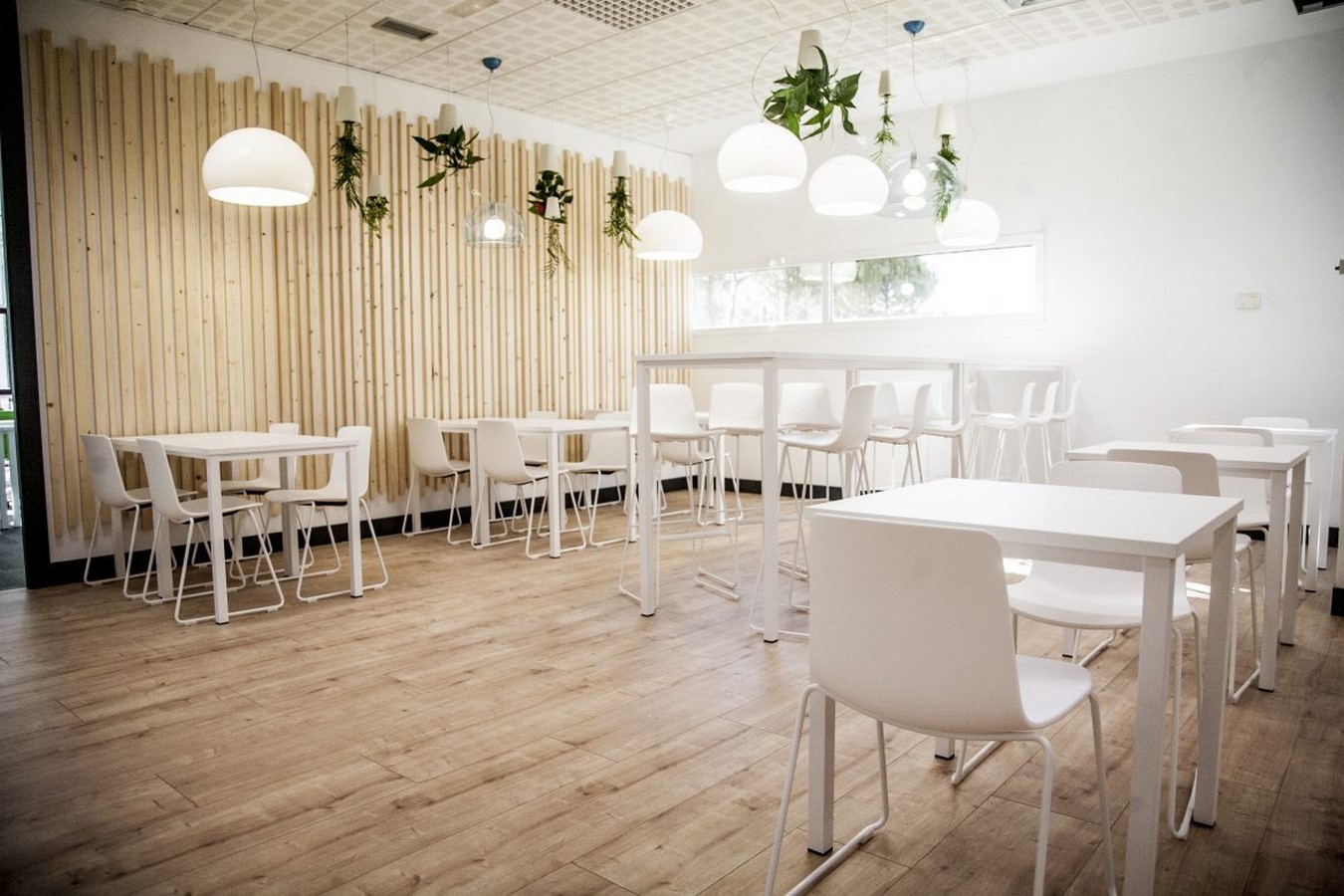 Interior Designers in Valladolid - Top 20 Interior Designers in Valladolid - Sheet6