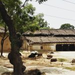 Architecture, an expression that transformed perspective - Sheet1