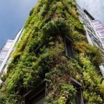 Through a New Lens: Architecture is Alive - Sheet1