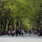 15 Places to visit when in New York City for Travelling Architect - Sheet10