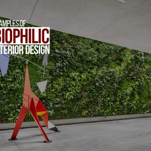 Can architects work in the Set Designing field? - RTF | Rethinking The ...